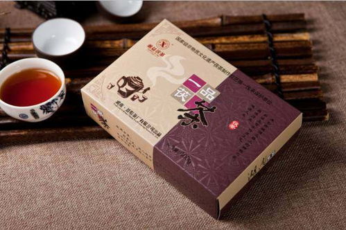 劉杏益 以甲殼素農業肥料研發，踐行制茶大師的行業使命